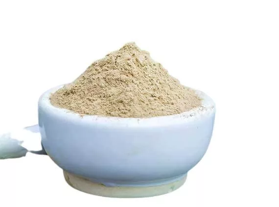 Adrish Brahmi Powder - 100 gm