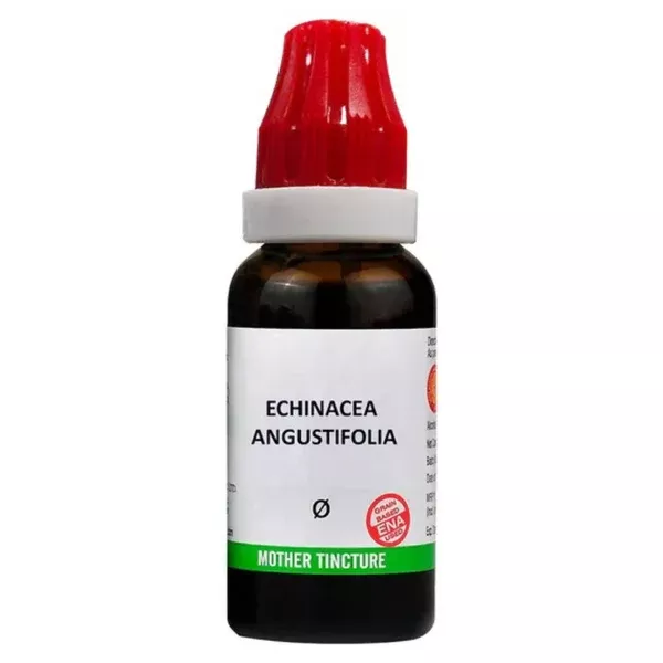 Bjain Homeopathy Echinacea Angustifolia Mother Tincture Q - 30 ml