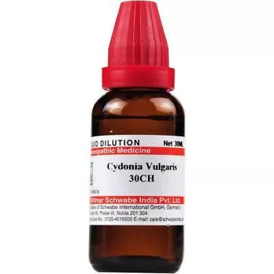Dr Willmar Schwabe India Cydonia Vulgaris Dilution - 30 CH - 30 ml