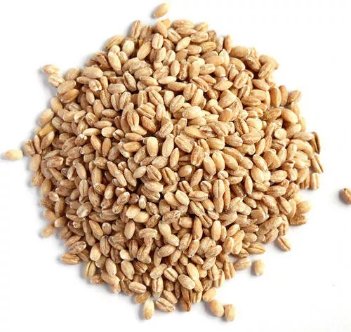 Hebsur Herbals Barley Seeds - 250 gm - Pack of 4