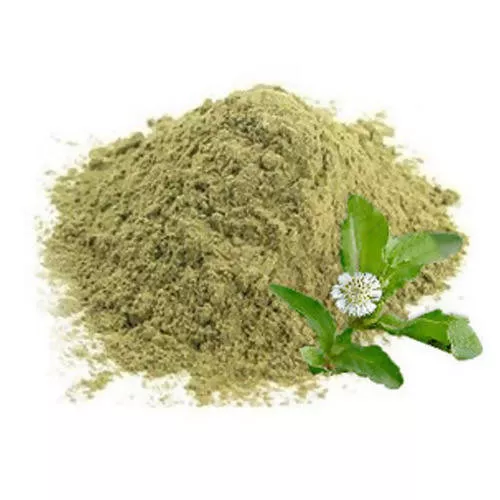 Hebsur Herbals Bringraj Powder - 100 gm - Pack of 2