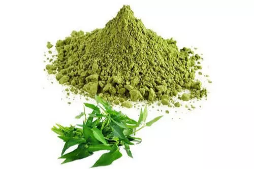 Hebsur Herbals Curry Leaves Powder - 100 gm - Pack of 2