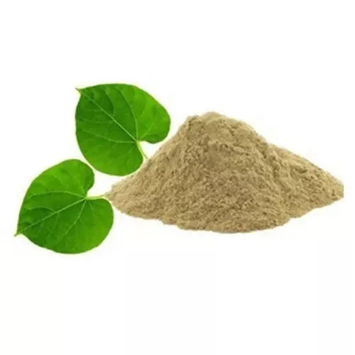 Hebsur Herbals Guduchi Powder - 100 gm