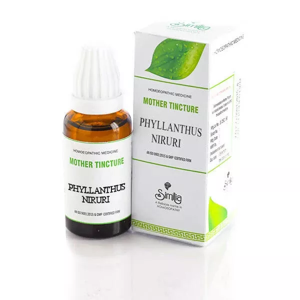Similia Homeopathy Phyllanthus Niruri Mother Tincture Q - 30 ml